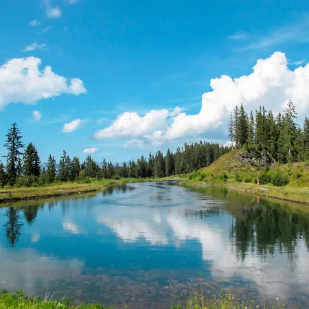 Lägenhet Untererhof-1 By Interhome