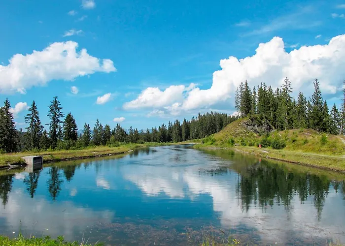 Appartement Untererhof-1 By Interhome